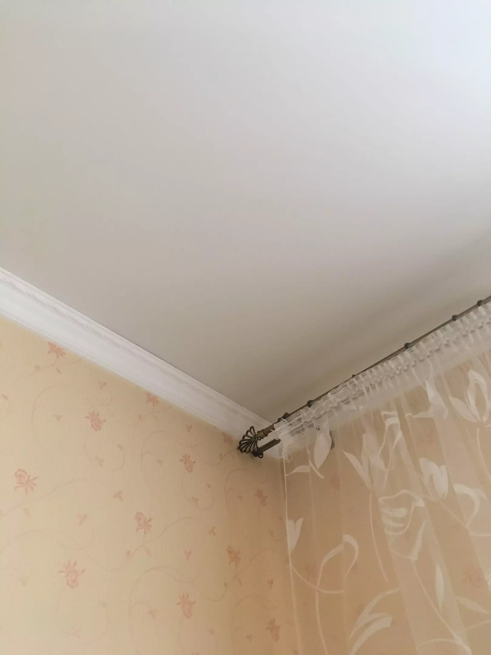 Евпатория, Конституции, 11, фото 1